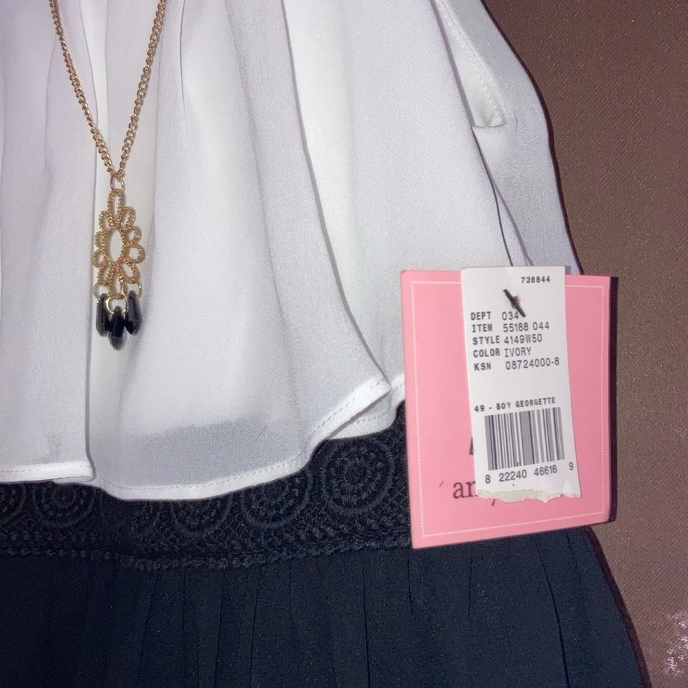 Amy’s Closet Little Girl’s Dress for Special Occasions New with Tags Size 4 - Picture 2 of 6